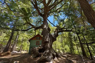 52915 Forest Route 4S02, Idyllwild, CA 92549 - Photo 23