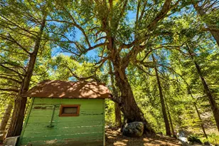 52915 Forest Route 4S02, Idyllwild, CA 92549 - Photo 27