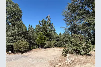 246 Chipmunk, Twin Peaks, CA 92391 - Photo 9