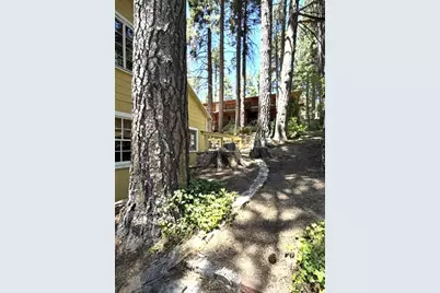 31858 Hollow Way, Running Springs, CA 92382 - Photo 19