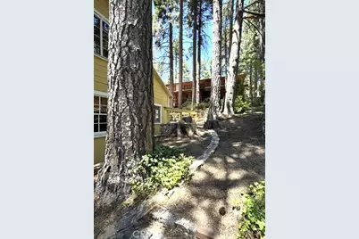 31858 Hollow Way, Running Springs, CA 92382 - Photo 15