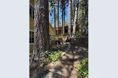 31858 Hollow Way, Running Springs, CA 92382 - Photo 11
