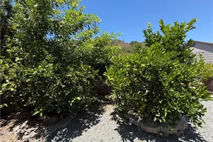 4916 Euclid Ct, San Diego, CA 92105 - Photo 55