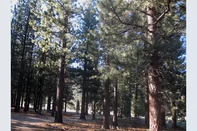 2818 Erwin Ranch Rd, Big Bear City, CA 92314 - Photo 1