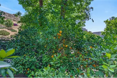 5462 Sierra Vista, Riverside, CA 92505 - Photo 47