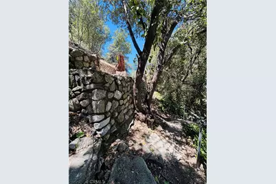 955 San Antonio Creek, Mount Baldy, CA 91759 - Photo 5