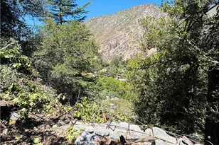 955 San Antonio Creek, Mount Baldy, CA 91759 - Photo 1