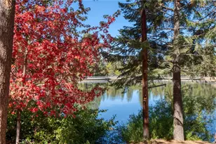 771 Tulip Dr, Green Valley Lake, CA 92341 - Photo 3