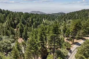 31438 Easy St, Running Springs, CA 92382 - Photo 33