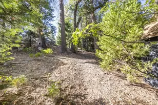 380 Dolly Varden, Lake Arrowhead, CA 92352 - Photo 39