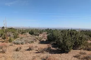 12 Tamarack, Pinon Hills, CA 92372 - Photo 1