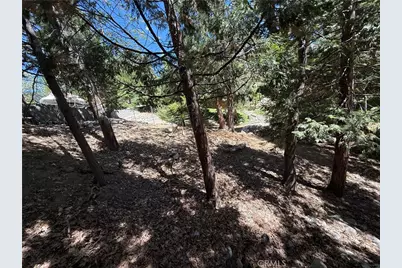 0 West Shore, Lake Arrowhead, CA 92352 - Photo 5