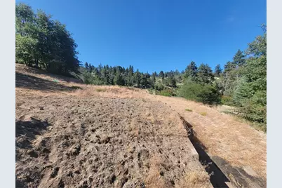 33345 Angeles, Green Valley Lake, CA 92341 - Photo 3