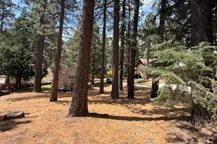 33390 Wild Rose, Green Valley Lake, CA 92341 - Photo 21