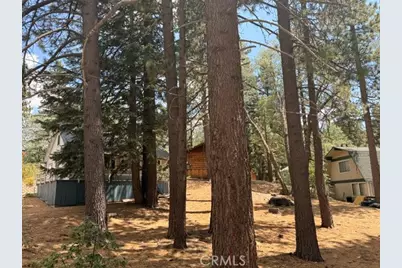 33390 Wild Rose, Green Valley Lake, CA 92341 - Photo 11