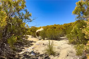 29051 Chihuahua Valley Rd, Warner Springs, CA 92086 - Photo 1