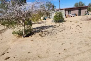 67826 Daisy, 29 Palms MCB, CA 92277 - Photo 3