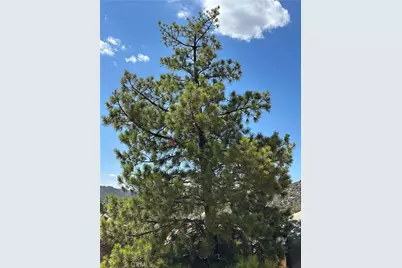 44305 Broken Wheel, Mountain Center, CA 92561 - Photo 45