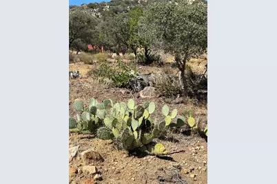 44305 Broken Wheel, Mountain Center, CA 92561 - Photo 41