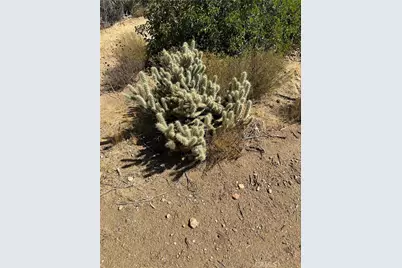 44305 Broken Wheel, Mountain Center, CA 92561 - Photo 39