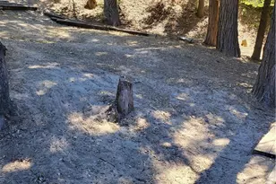24812 Lake Gregory, Crestline, CA 92325 - Photo 31