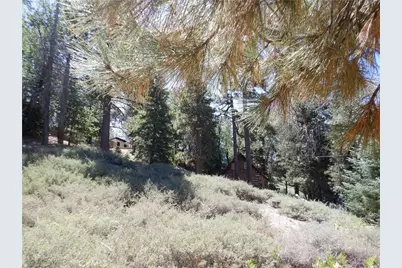 0 Wild Rose, Green Valley Lake, CA 92341 - Photo 7