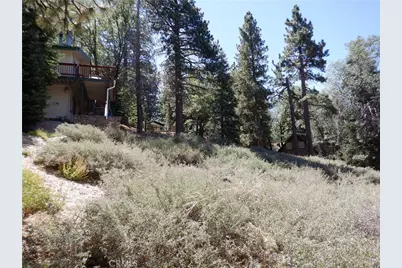 0 Wild Rose, Green Valley Lake, CA 92341 - Photo 5
