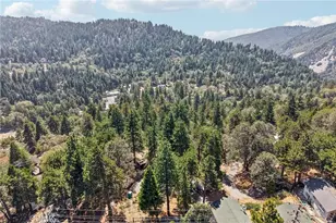 21461 Crest Forest, Cedarpines Park, CA 92322 - Photo 33