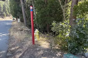 27917 Squirrel Ln, Lake Arrowhead, CA 92352 - Photo 33