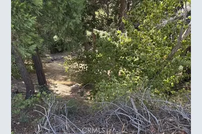 27917 Squirrel Lane, Lake Arrowhead, CA 92352 - Photo 29