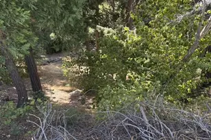 27917 Squirrel Ln, Lake Arrowhead, CA 92352 - Photo 29