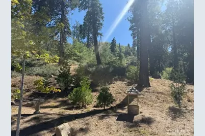 647 Lone Pine, Green Valley Lake, CA 92341 - Photo 53