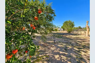 32461 Morse Lane, Lucerne Valley, CA 92356 - Photo 43