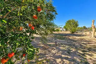 32461 Morse Ln, Lucerne Valley, CA 92356 - Photo 43