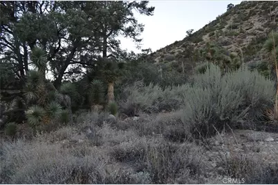 0 Verde, Pinon Hills, CA 92372 - Photo 3
