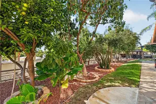 10225 60th, Jurupa Valley, CA 91752 - Photo 23