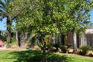 1494 Morgan Rd, San Bernardino, CA 92407 - Photo 13