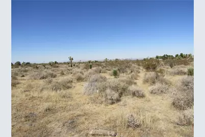 0 Madera Rd, Pinon Hills, CA 92372 - Photo 7