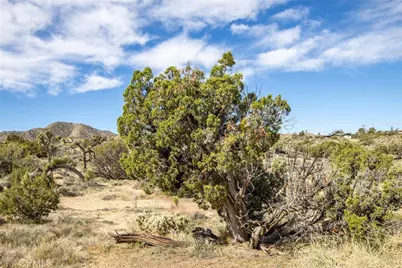 9486 Carmelita Circle, Yucca Valley, CA 92284 - Photo 13
