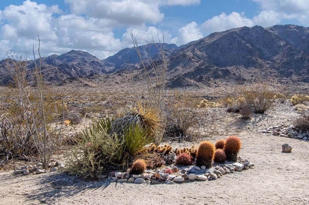 72345 Foothill Dr, Twntynine Plm CA  92277-2973 exterior