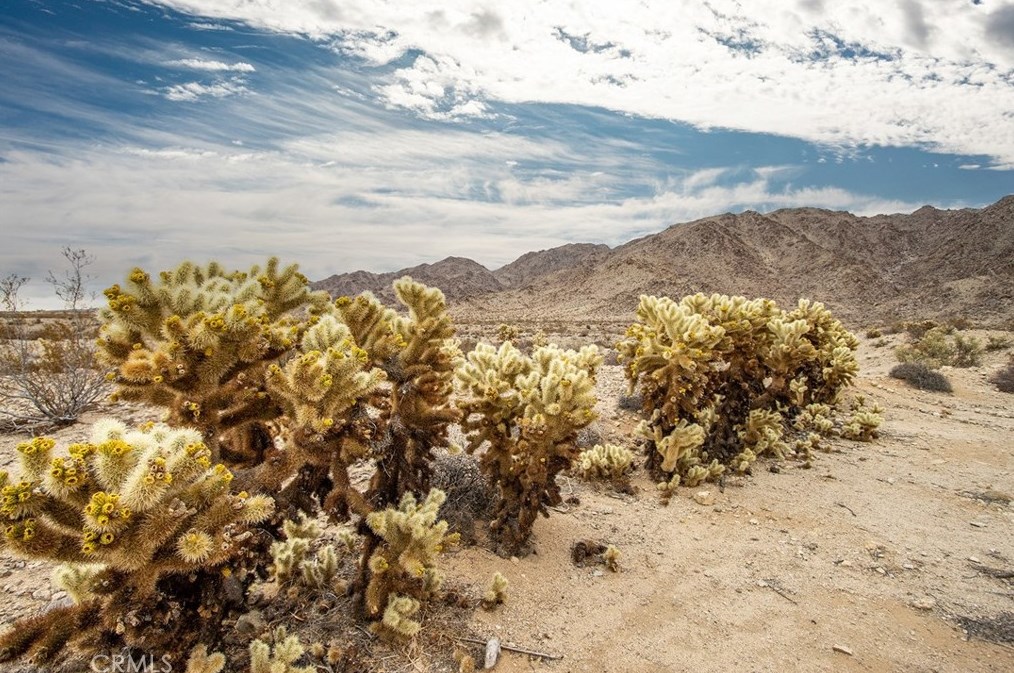 72345 Foothill Dr, Twntynine Plm CA  92277-2973 exterior