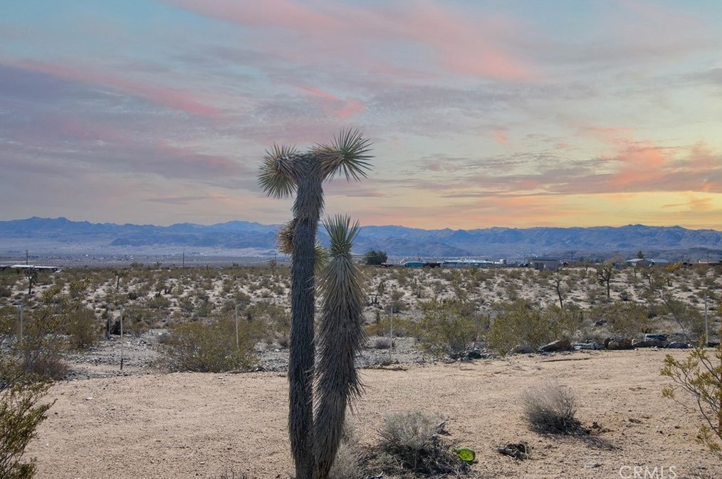 3131 Stonehill Ave, Joshua Tree CA  92252 exterior