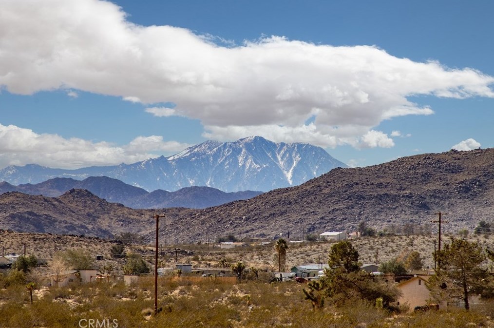 2500 Center Ave, Joshua Tree CA  92252-3387 exterior