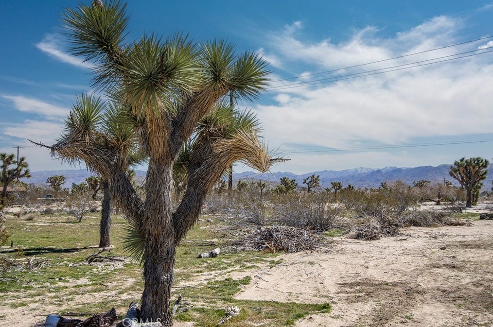 59062 Forrest Dr, Yucca Valley CA  92284-9011 exterior