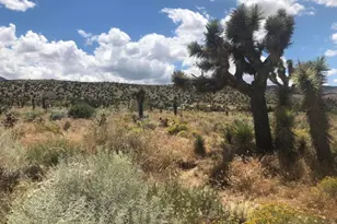 0 Vac/Pearblossom Pav /Vic 160 S, Pearblossom, CA 93591 - Photo 1