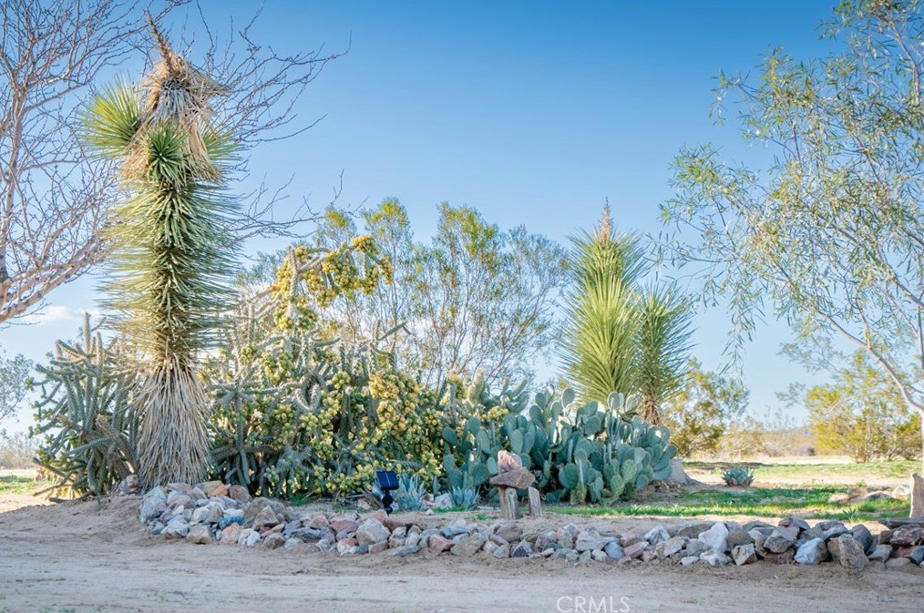 1272 Shangrila, Joshua Tree CA  92252 exterior