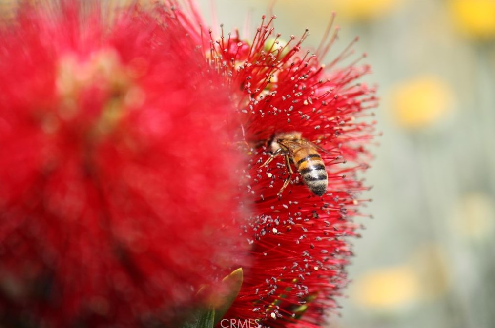 7370 Avalon Ave, Yucca Valley CA 92284-1108 exterior