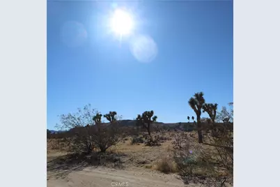 4726 Paradise View Road, Yucca Valley, CA 92284 - Photo 23