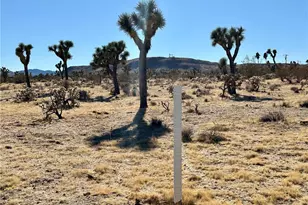 4726 Paradise View Rd, Yucca Valley, CA 92284 - Photo 1