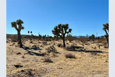 4726 Paradise View Road, Yucca Valley, CA 92284 - Photo 13